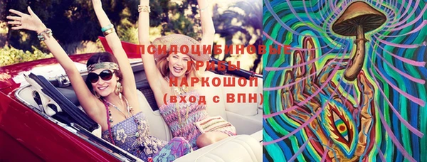 гашик Абинск