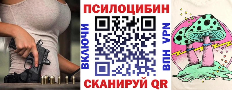 дарнет шоп  Калтан  Псилоцибиновые грибы Psilocybine cubensis 